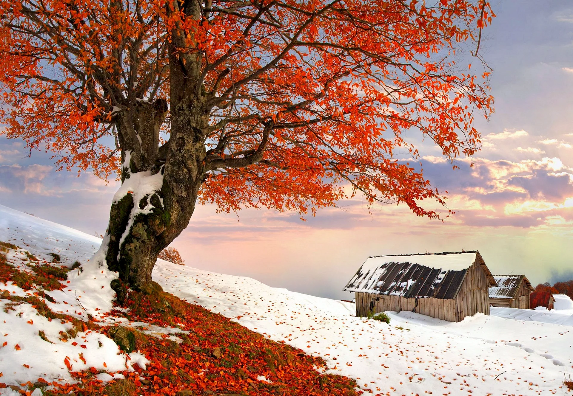 Autumn And Winter Wallpaper