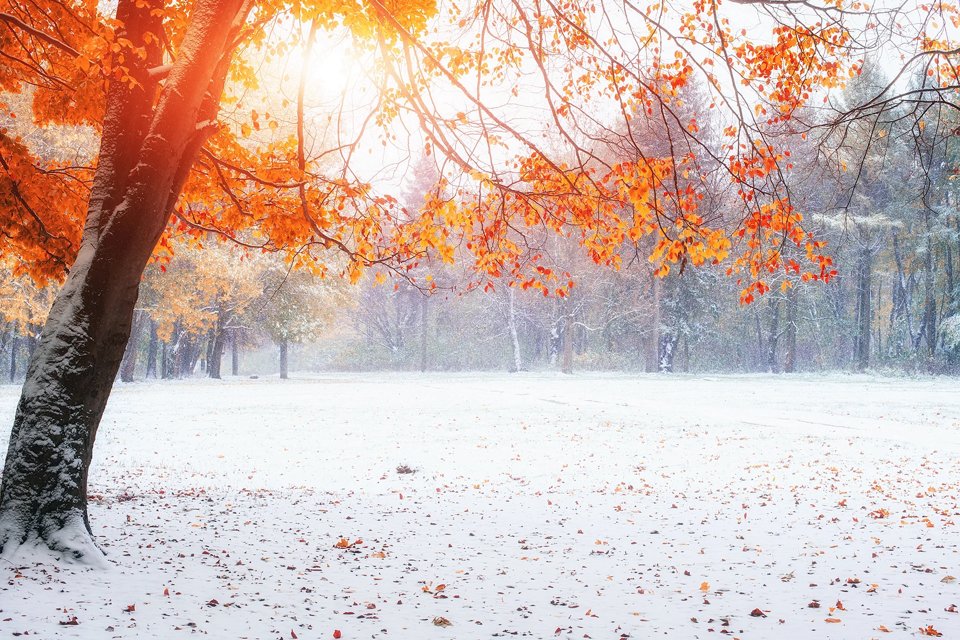 Autumn And Winter Wallpaper