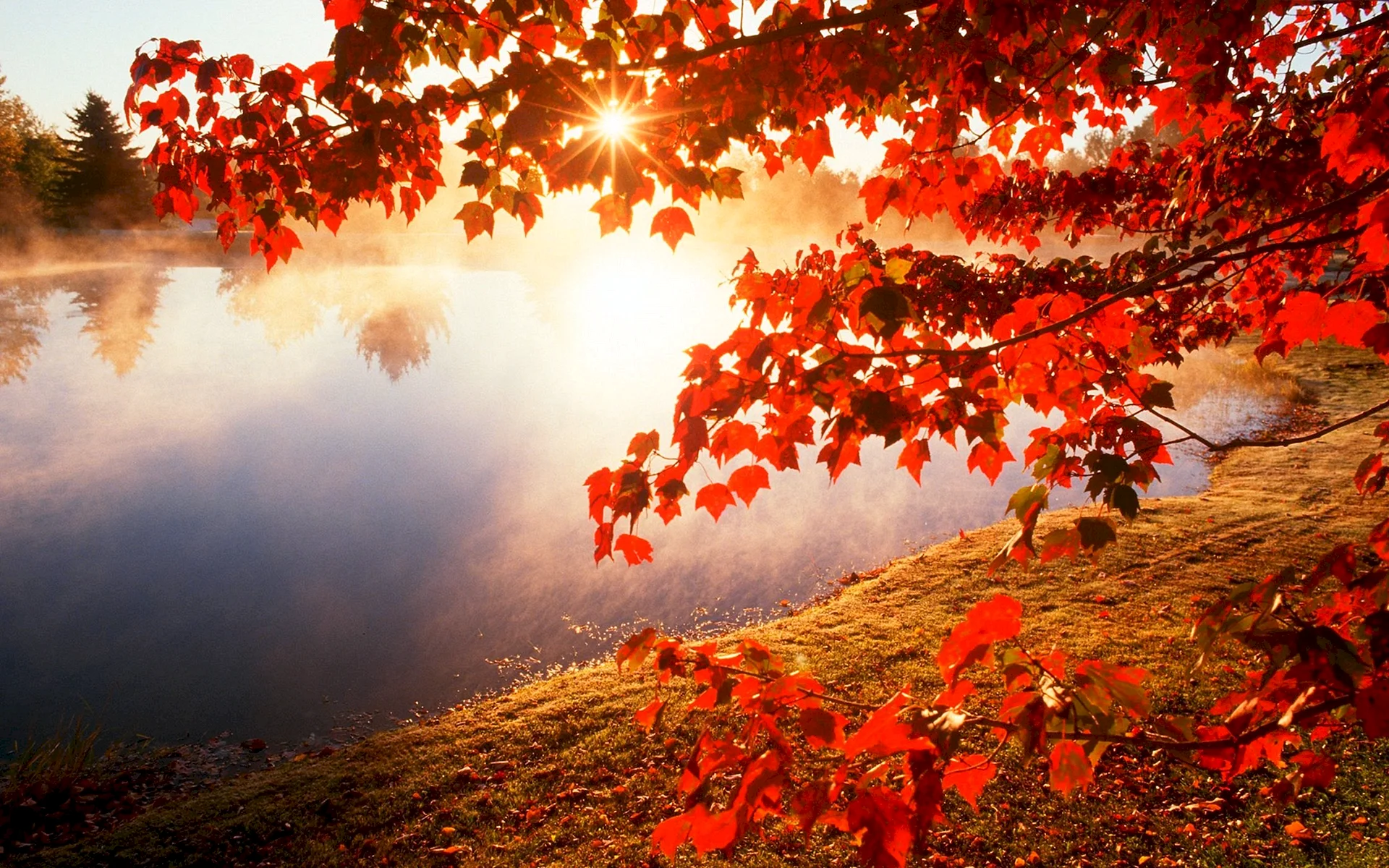 Autumn Background Wallpaper