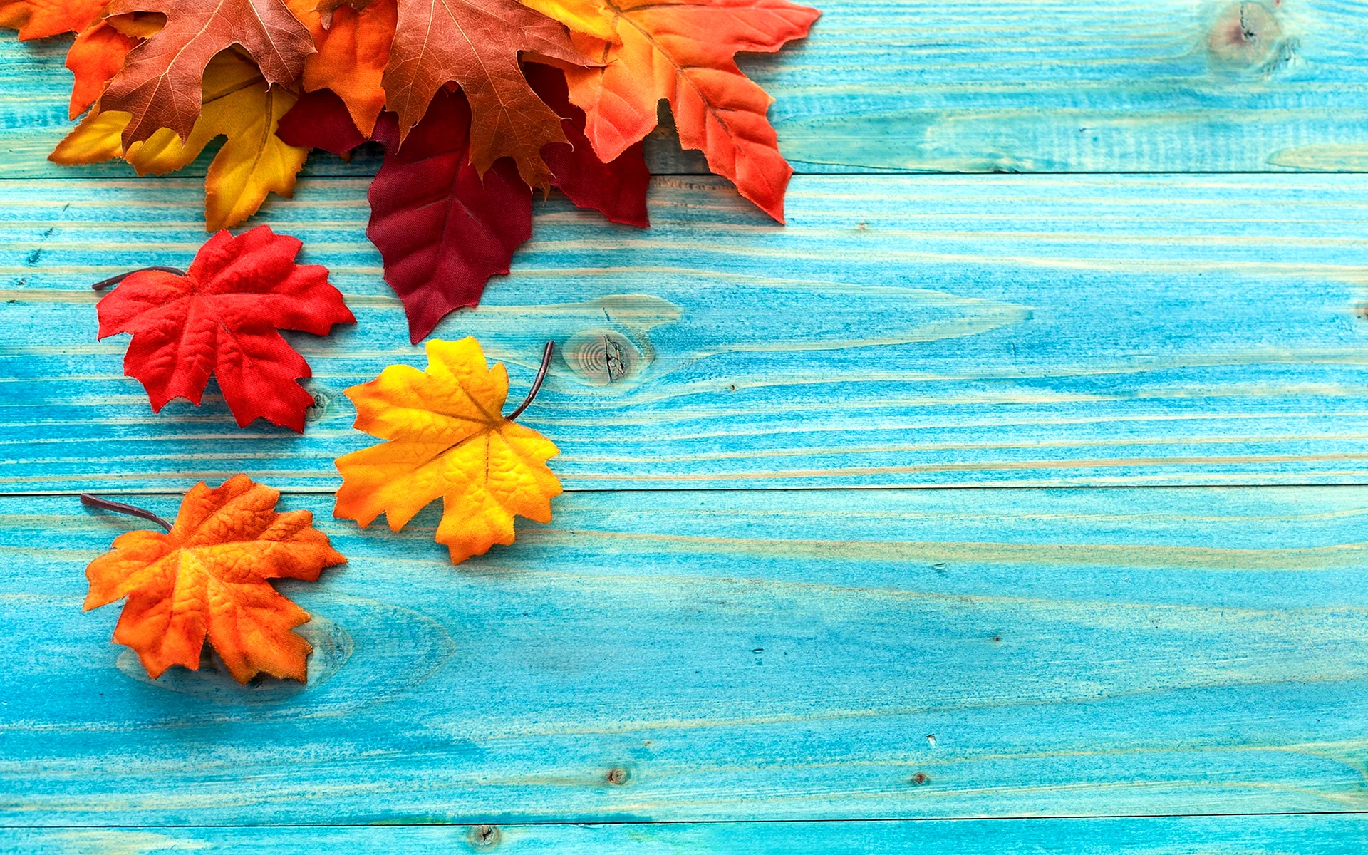 Autumn Background Wallpaper