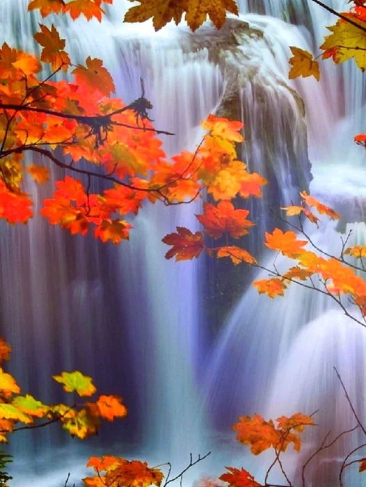 Autumn Falls Wallpaper