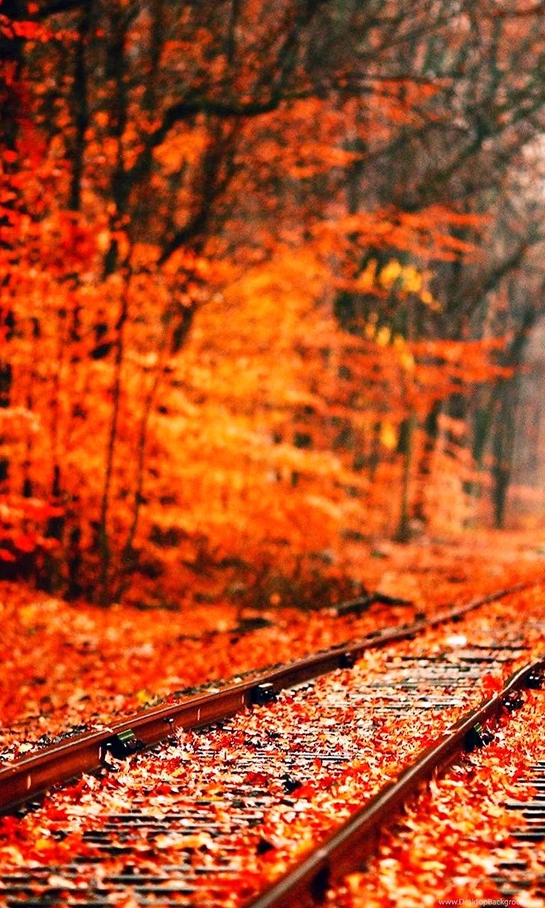 Autumn Falls HD Wallpaper For iPhone