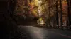 Autumn Forest Road Wallpaper