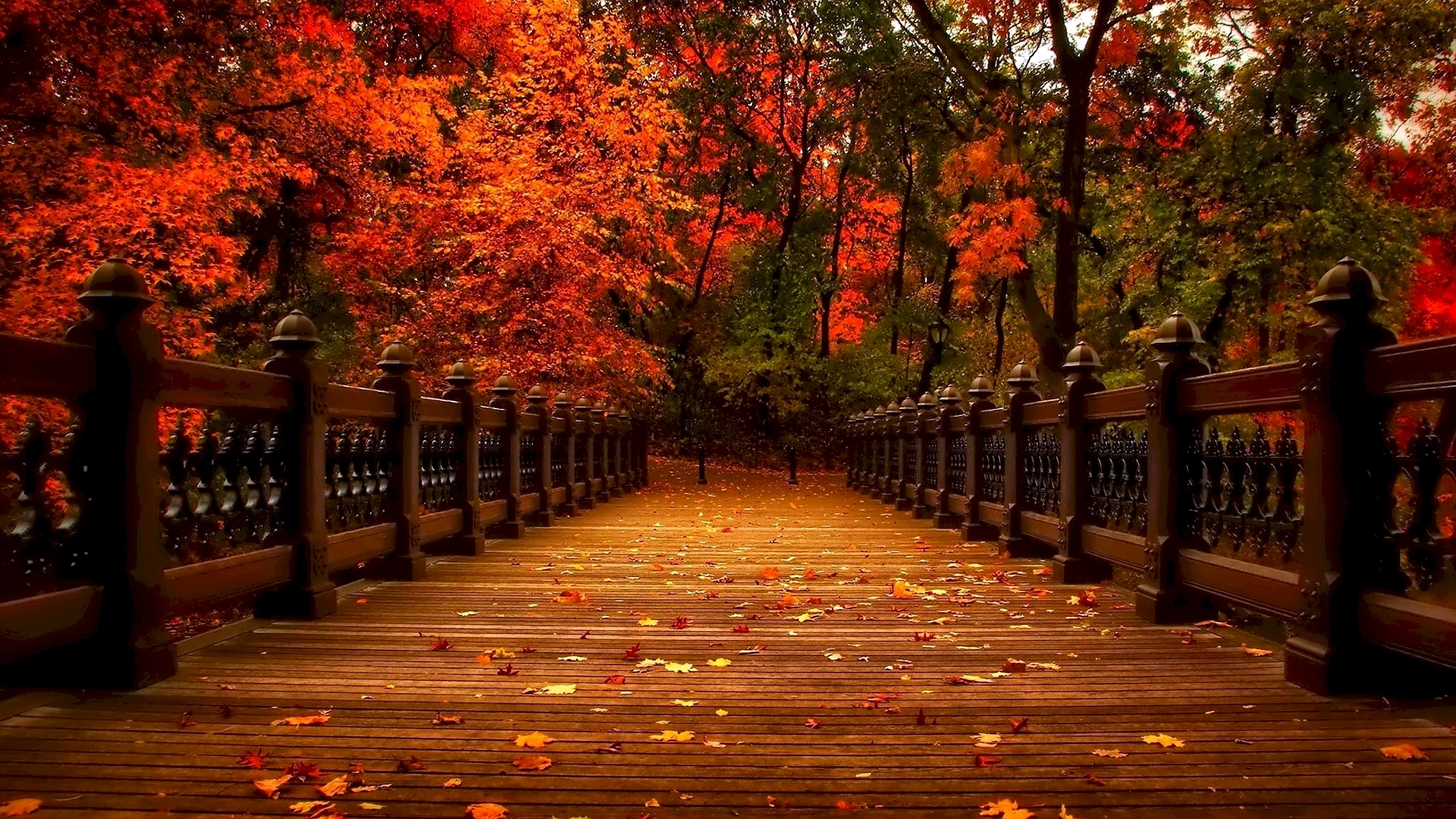 Autumn Nature Wallpaper