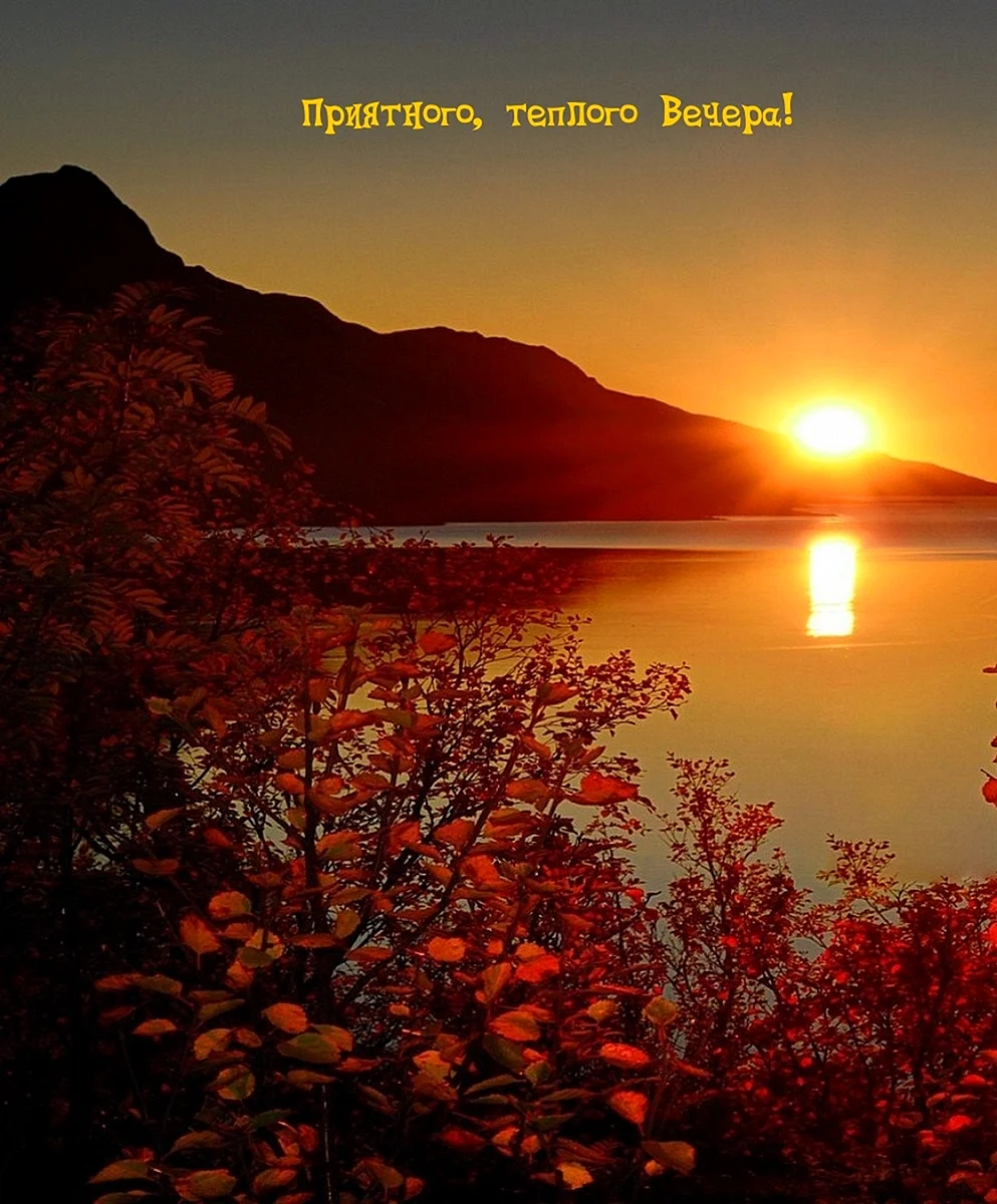 Autumn Sunset Wallpaper For iPhone