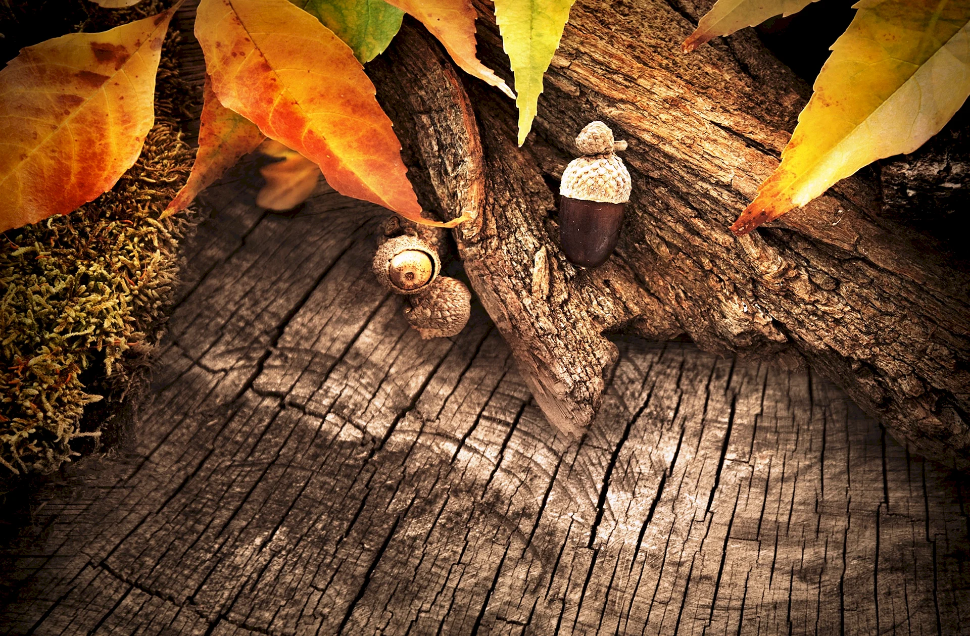 Autumn Wooden background Wallpaper