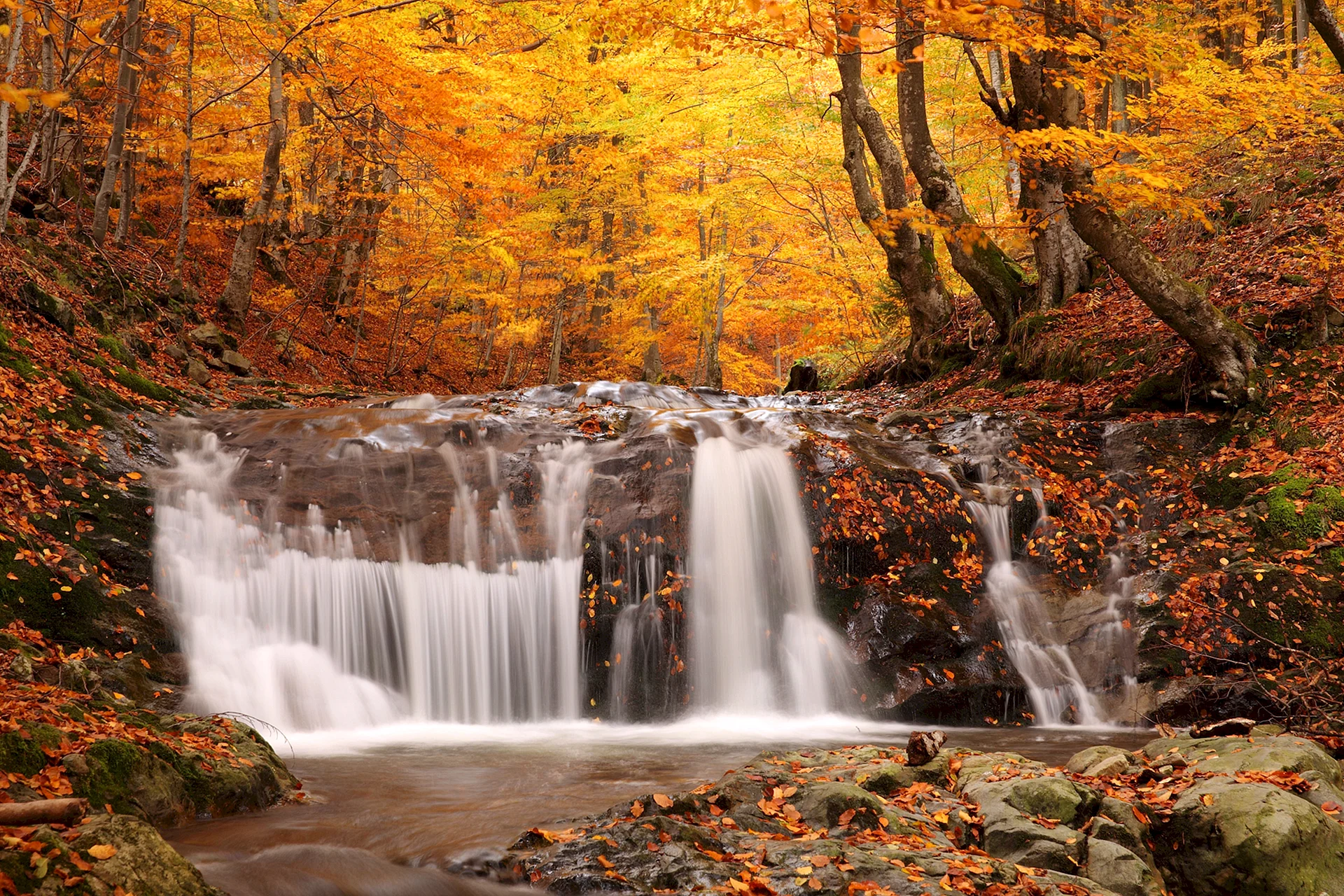 Autumn Falls Wallpaper