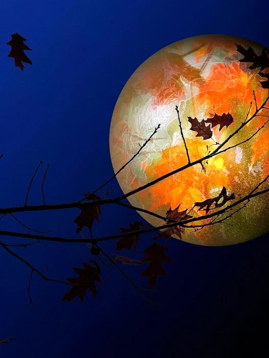 Autumn Moon Wallpaper