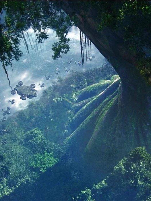 Avatar Forest Wallpaper