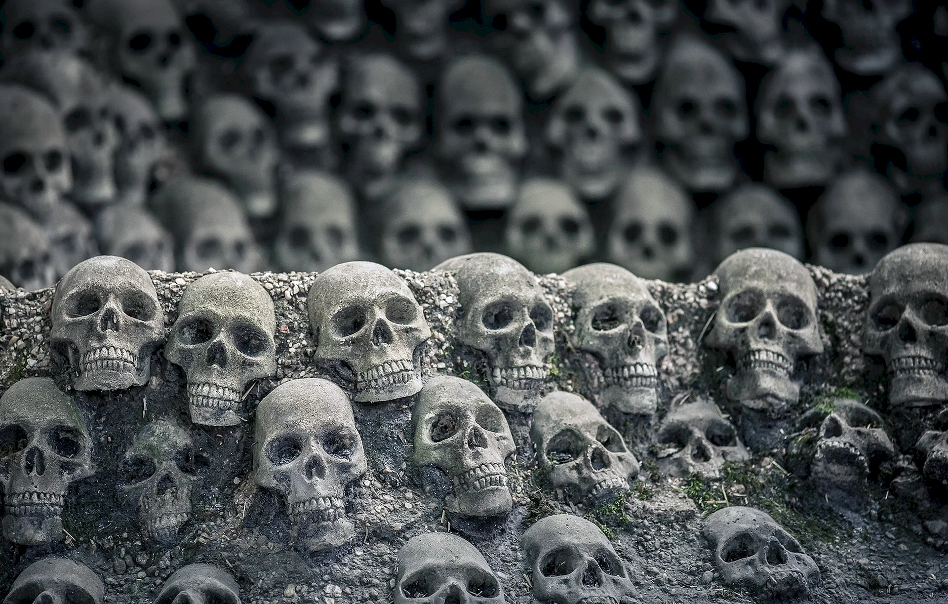 Background Death Skull Wallpaper