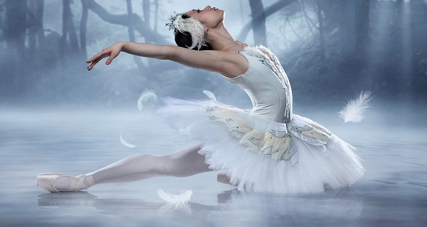 Ballet Swan Lake Wallpaper