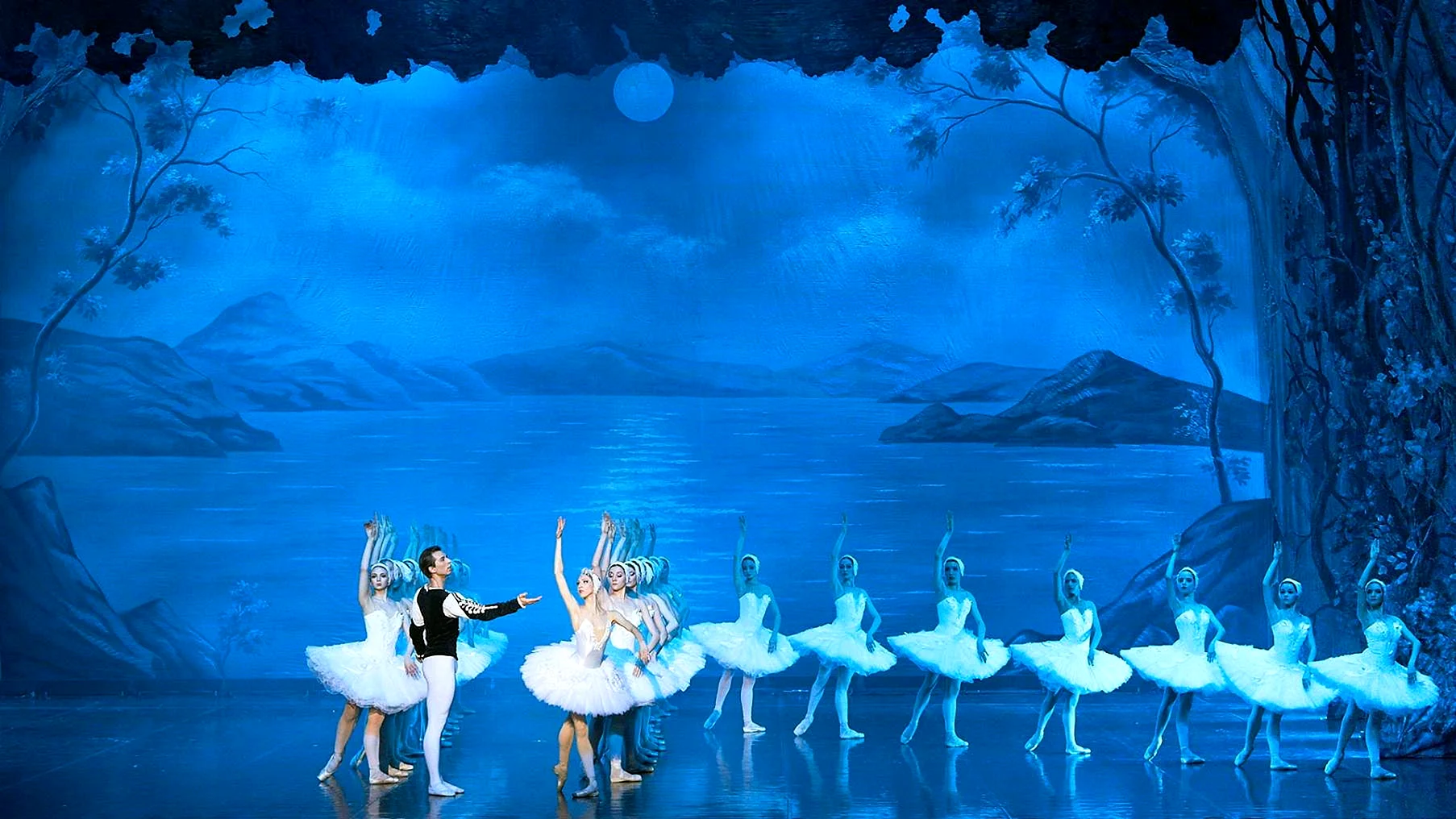 Ballet Swan Lake Wallpaper