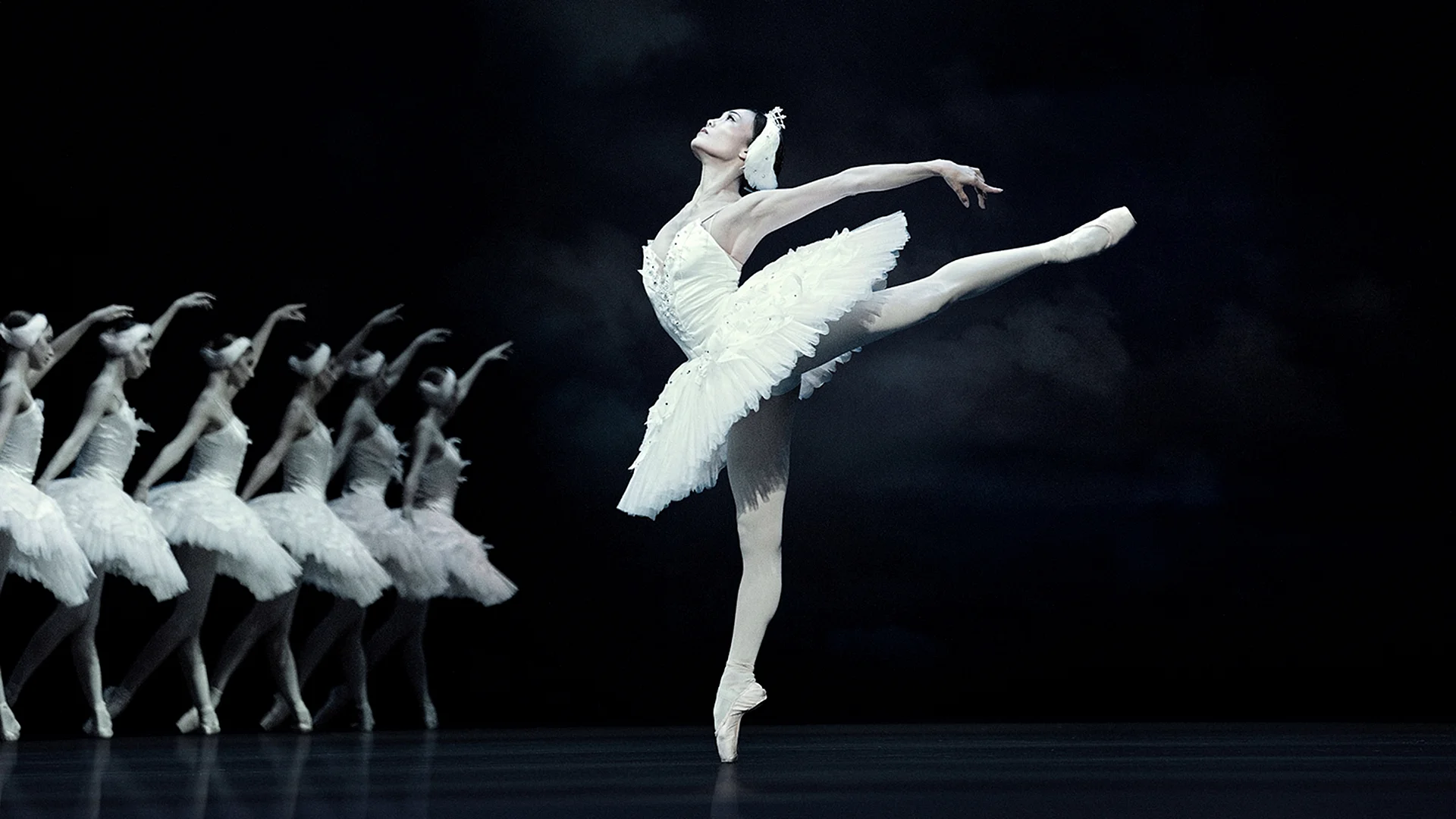 Ballet Swan Lake Wallpaper