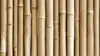 Bamboo Stick Wallpaper