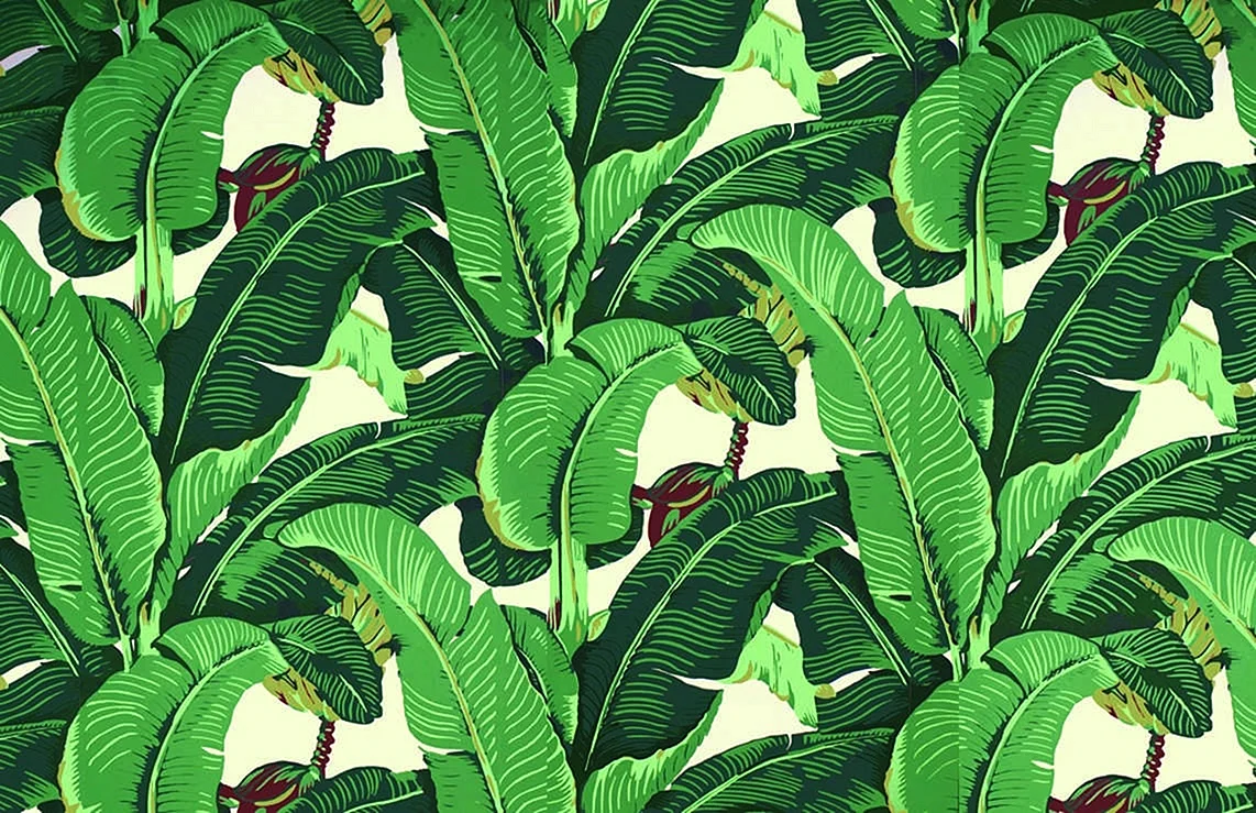 Banana Palm Leaf Wallpaper