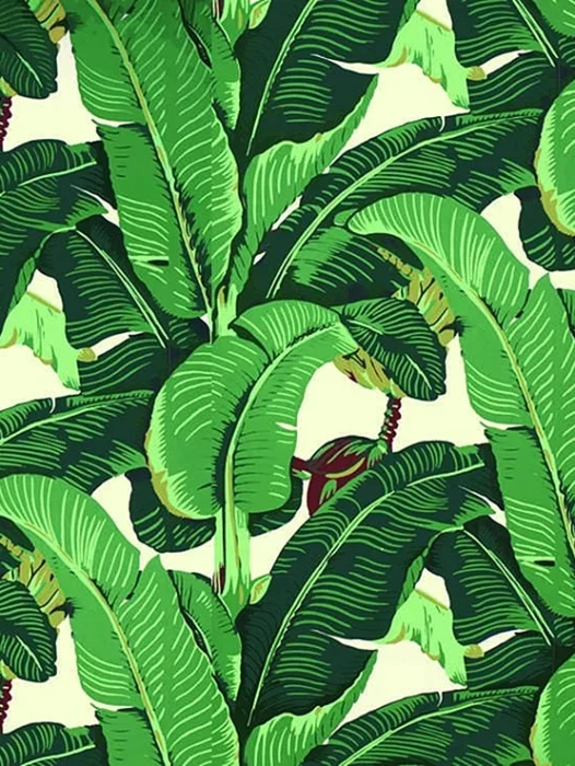 Banana Palm Leaf Wallpaper