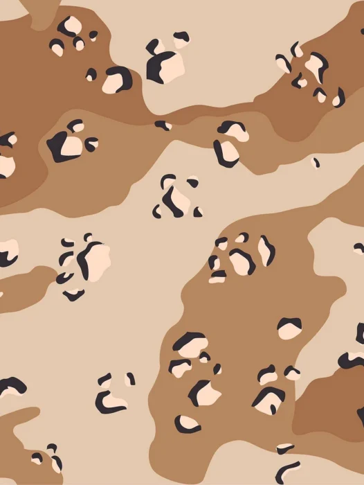 Bape Camo Desert Wallpaper