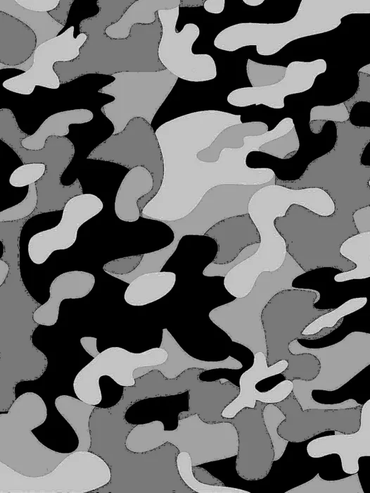 Bape Camouflage Wallpaper