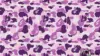 Bape Camo Purple Wallpaper