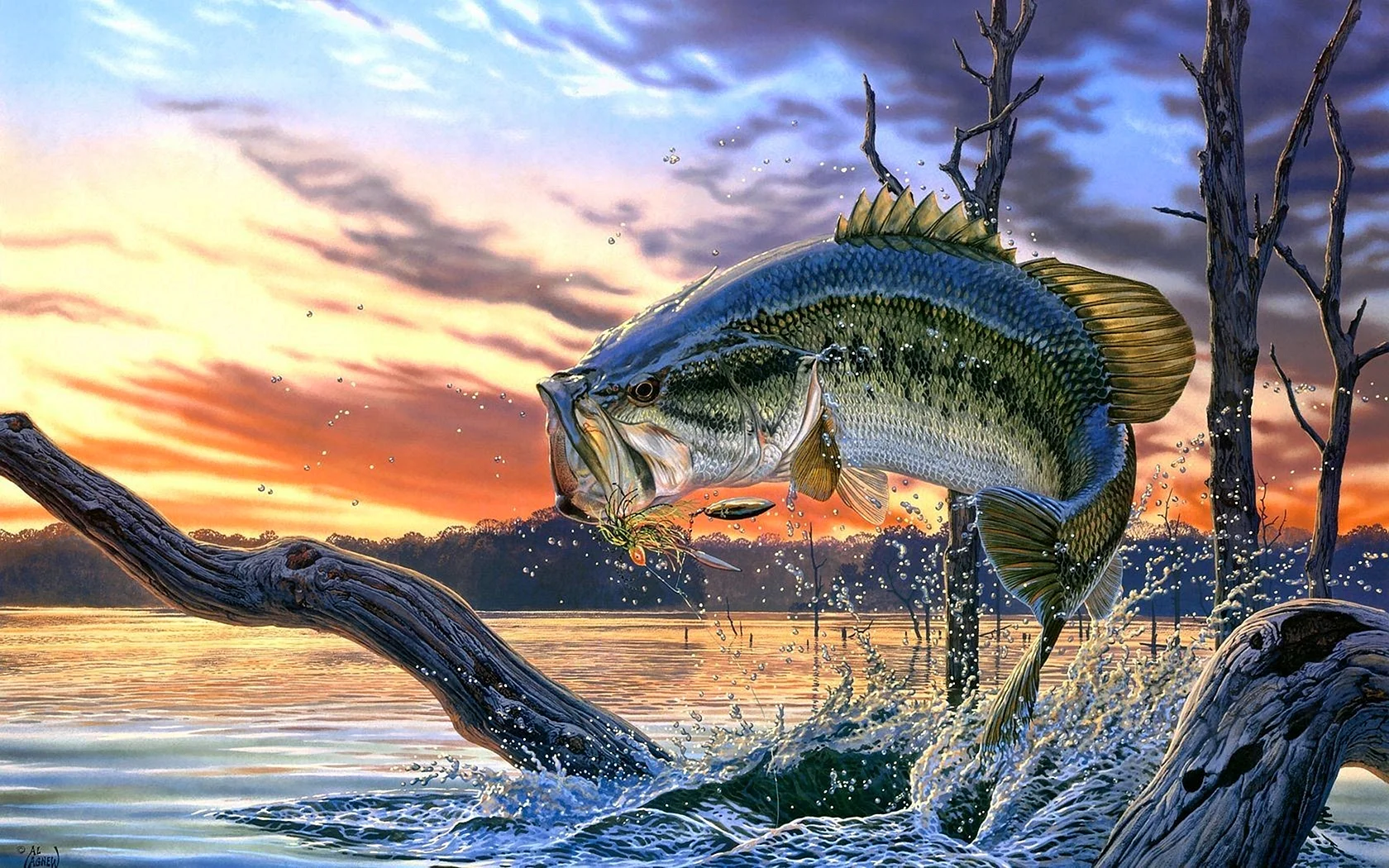 Bass Fishing Wallpaper