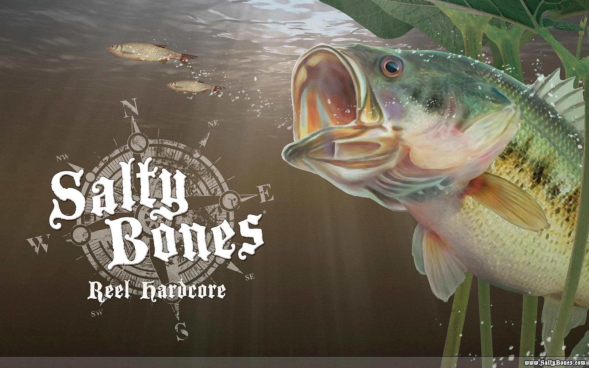 Bass Fishing Background Wallpaper