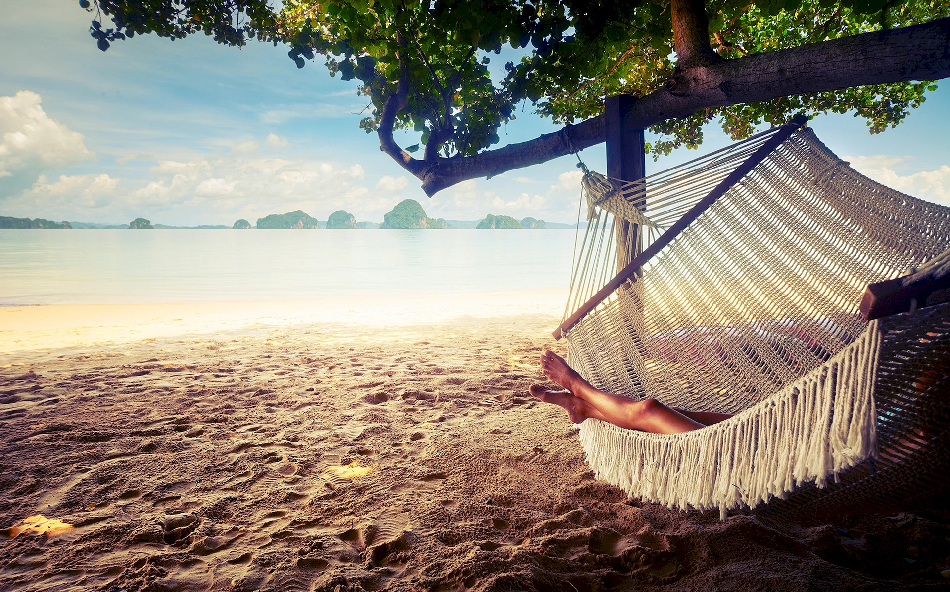 Beach Hammock Wallpaper