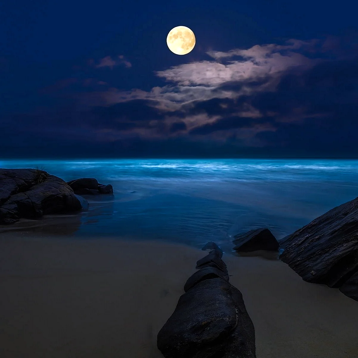 Море ночь красиво. Ночь в море. Ночное море. Лунный свет на море. Ночной пляж.