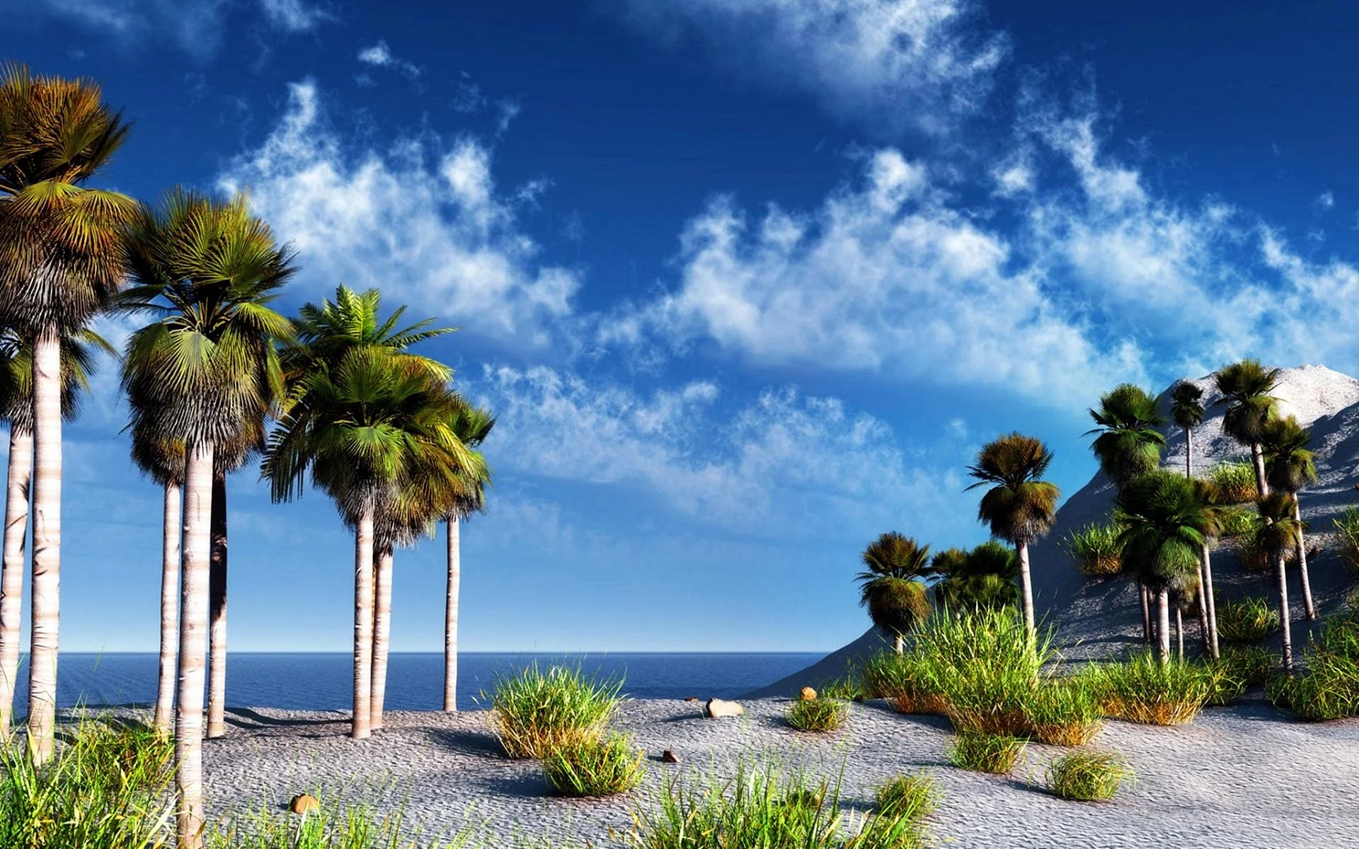 Beach Palm Trees Wallpaper