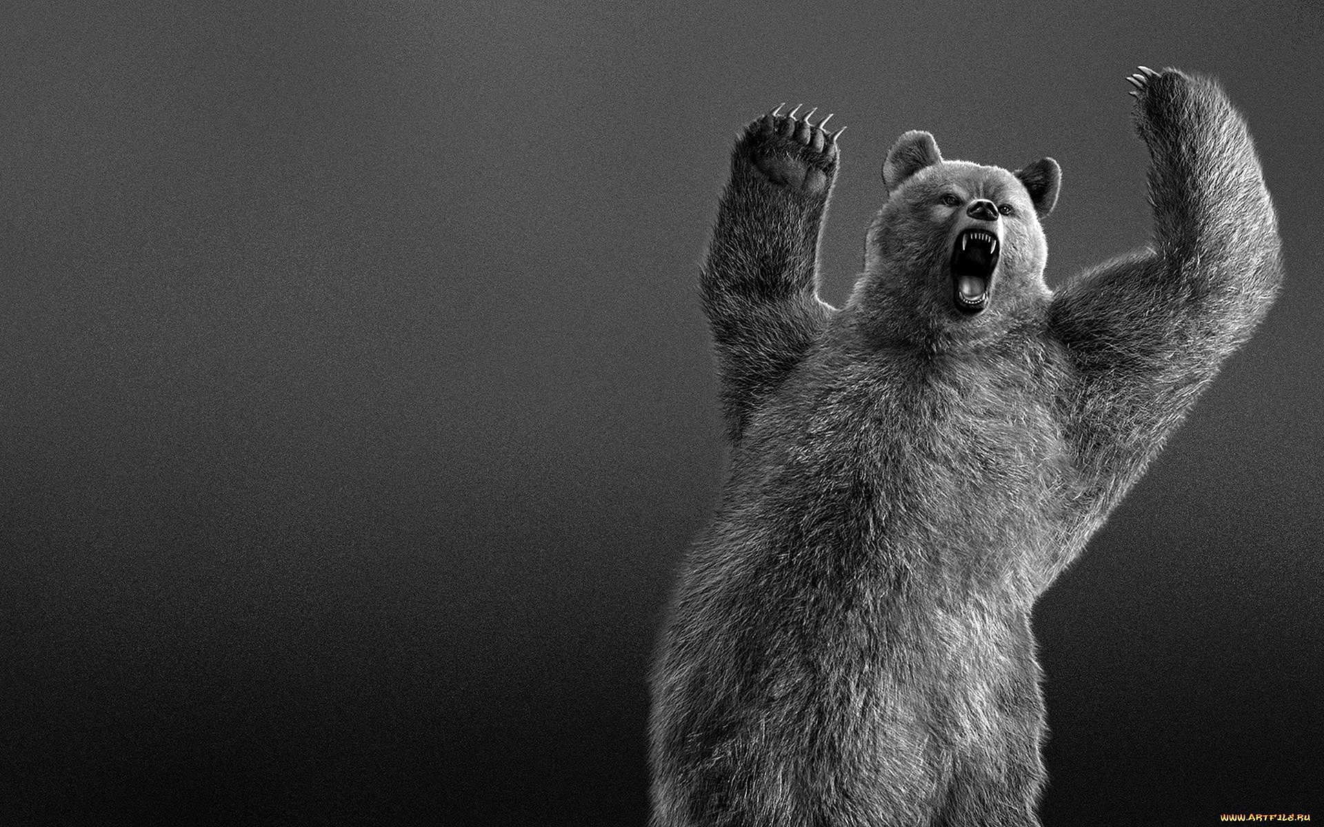 Bear Background Wallpaper