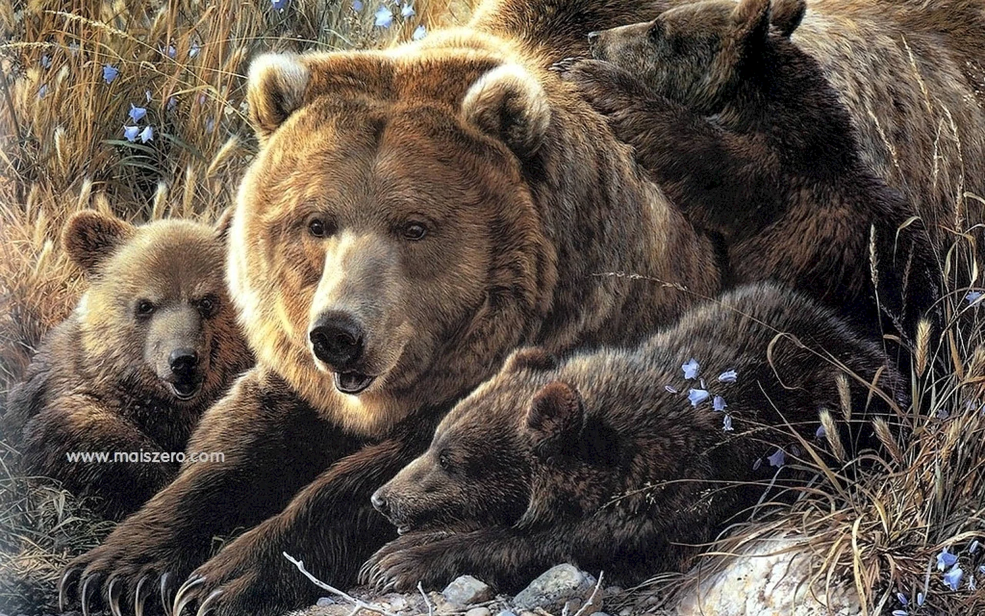 Bear Family Art Wallpaper