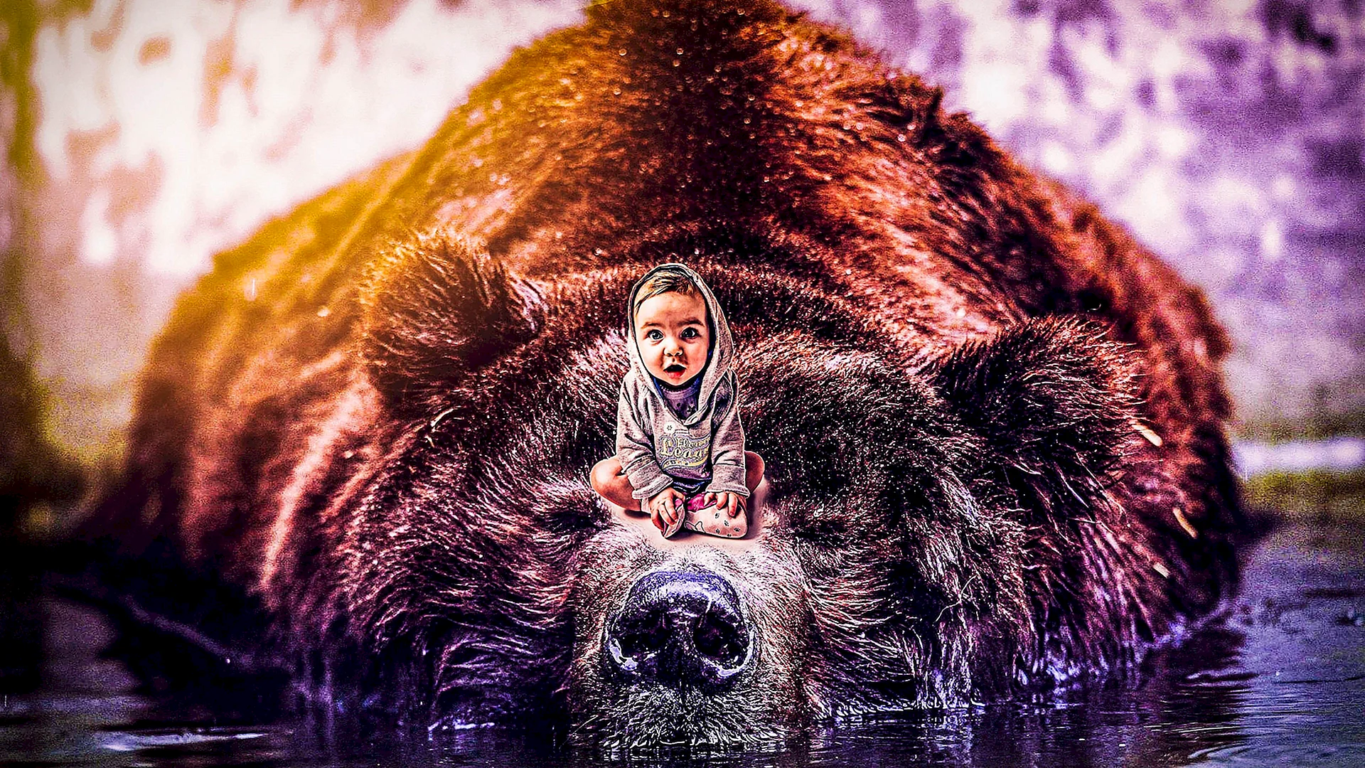 Bear Photoshop Wallpaper