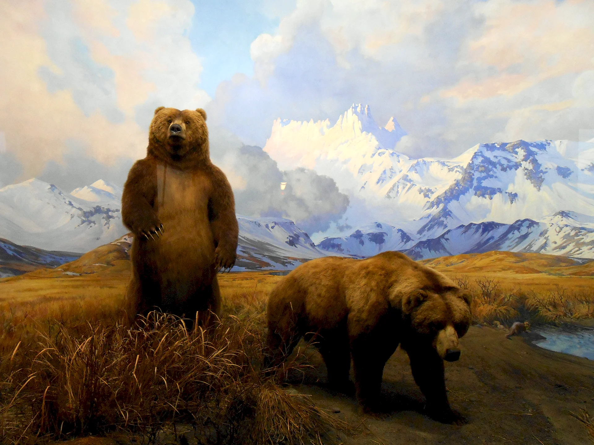 Bears in Mountain Wallpaper