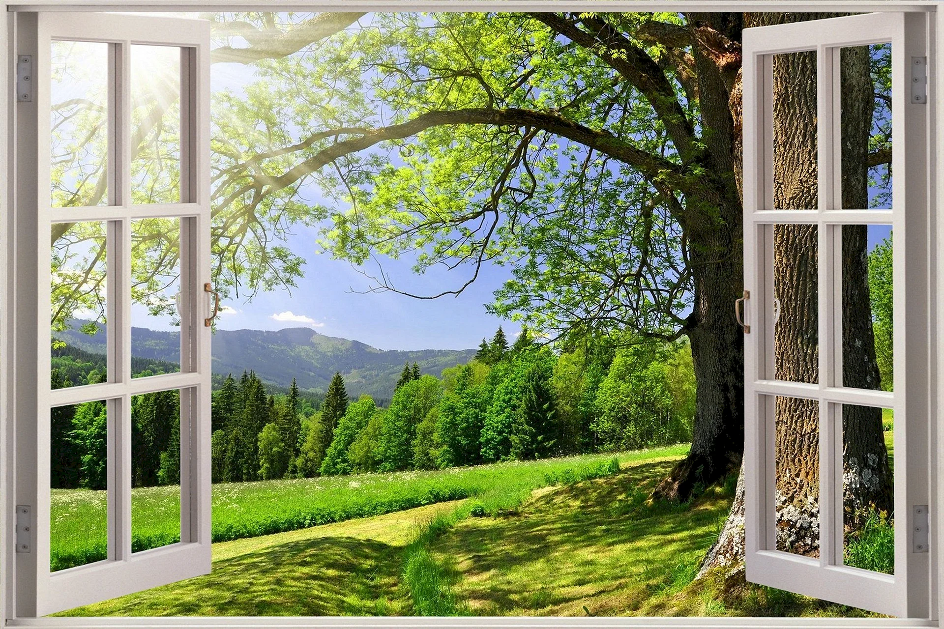 Beautiful Scenery Outside The Window Wallpaper