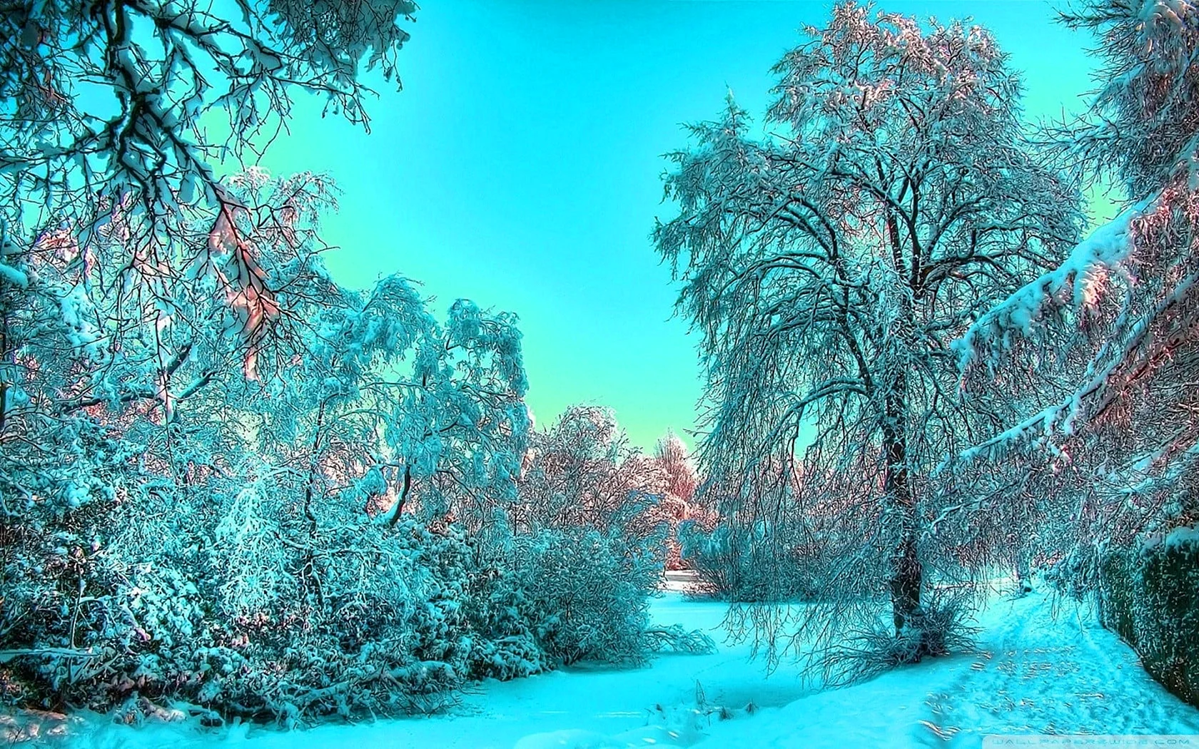 Beautiful Winter Wallpaper