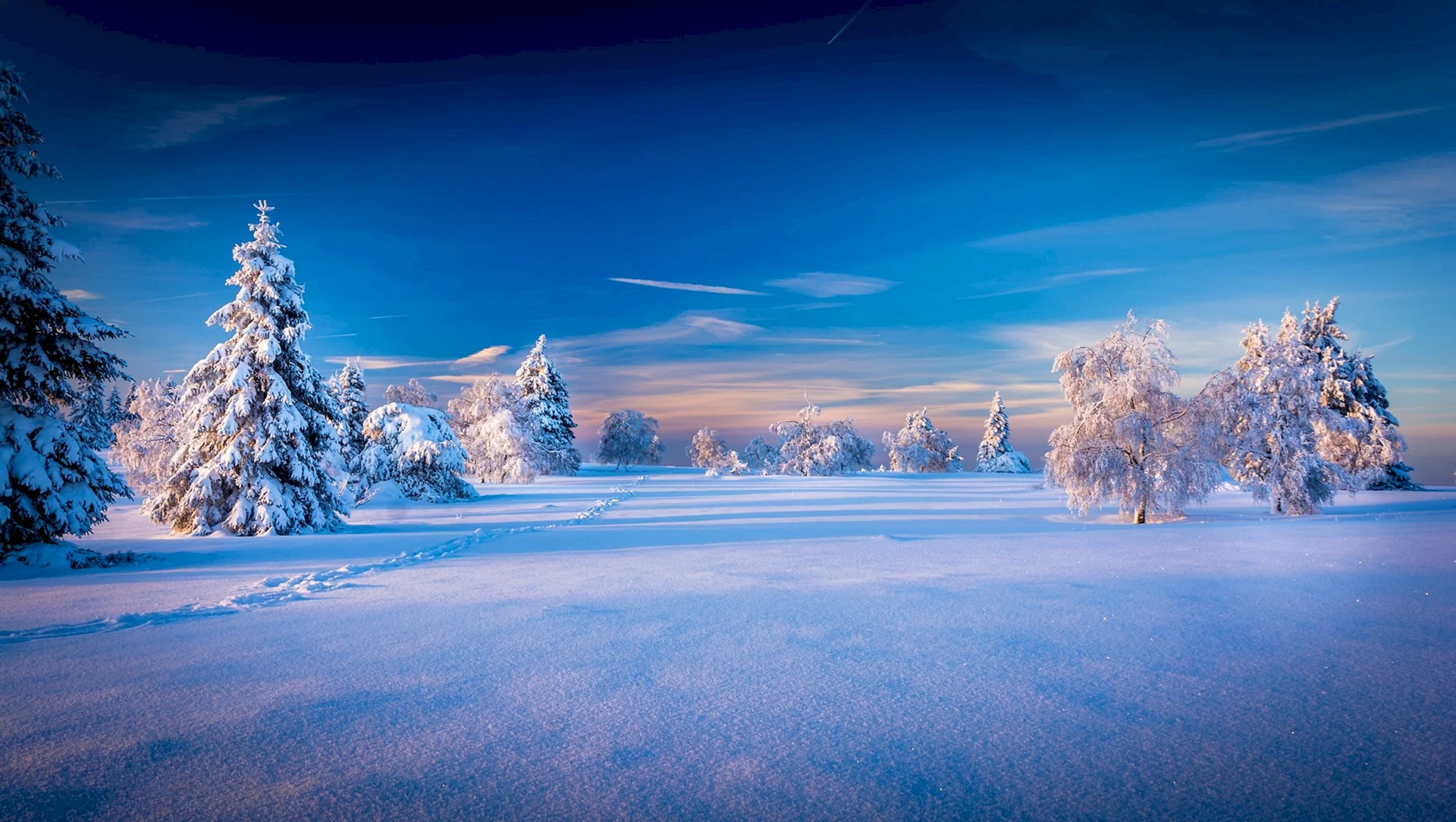 Beautiful Winter Landscape Wallpaper