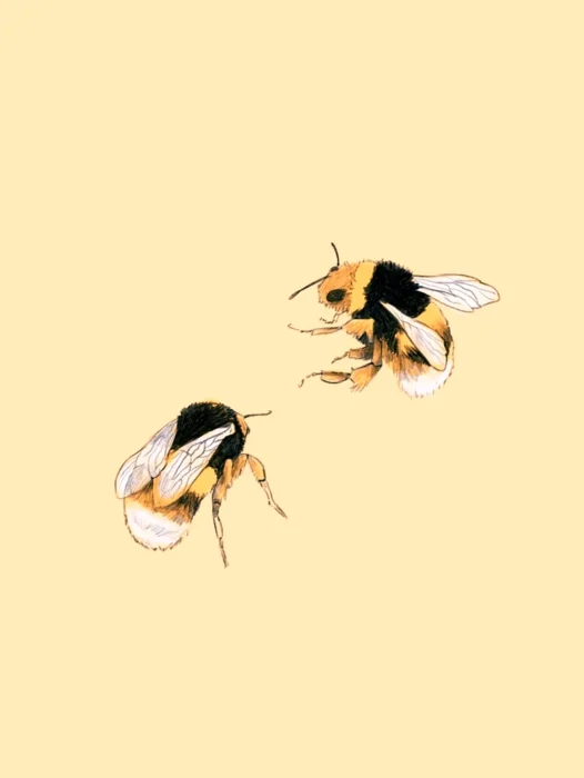 Bee Aesthetic Wallpaper