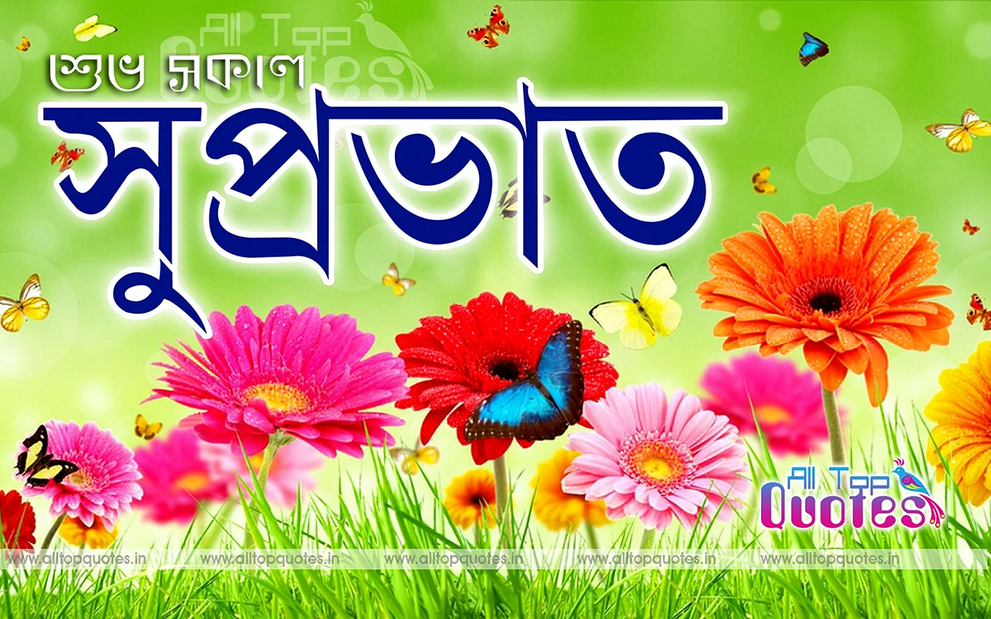 Bengali Good Wallpaper