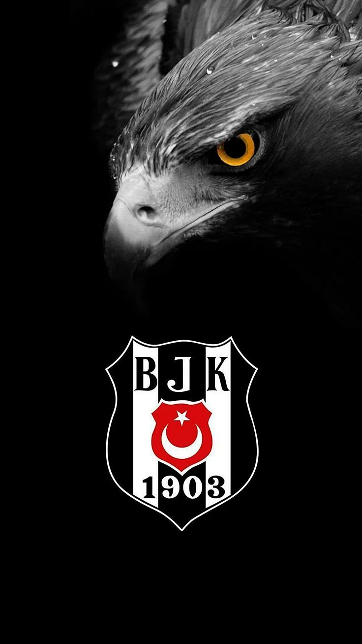 Beşiktaş Wallpaper For iPhone