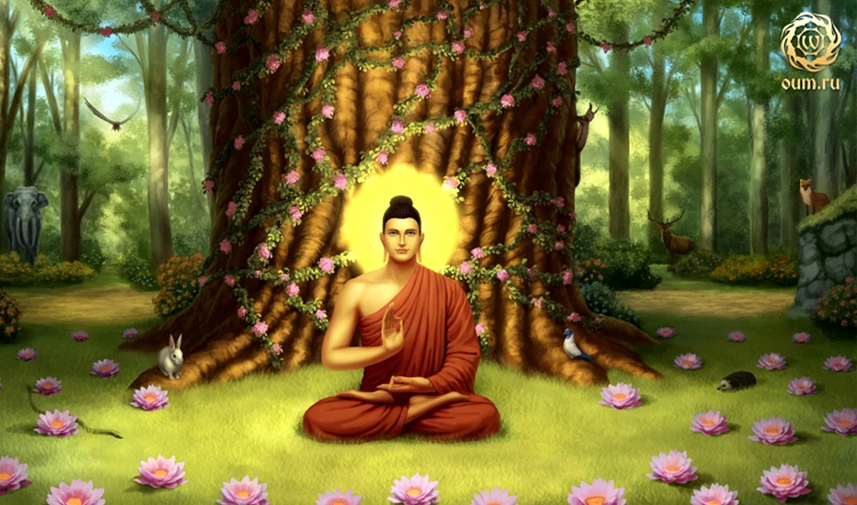 Bhagwan Buddha Wallpaper