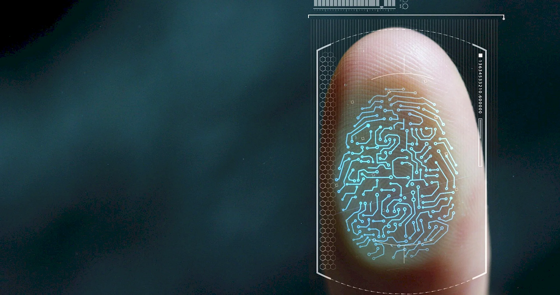 Biometric Id 2020 Wallpaper