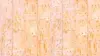 Birch Plywood Texture Wallpaper