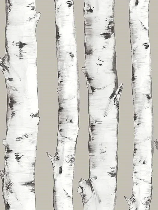 Birch Tree Neutral Wallpaper