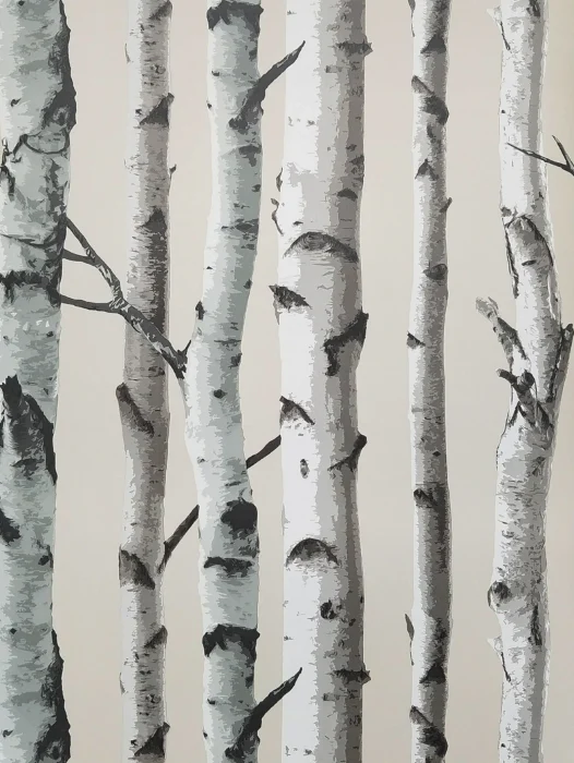 Birch Trees Tundra Wallpaper