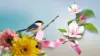 Bird Flower Background Wallpaper