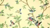 Bird pattern Wallpaper