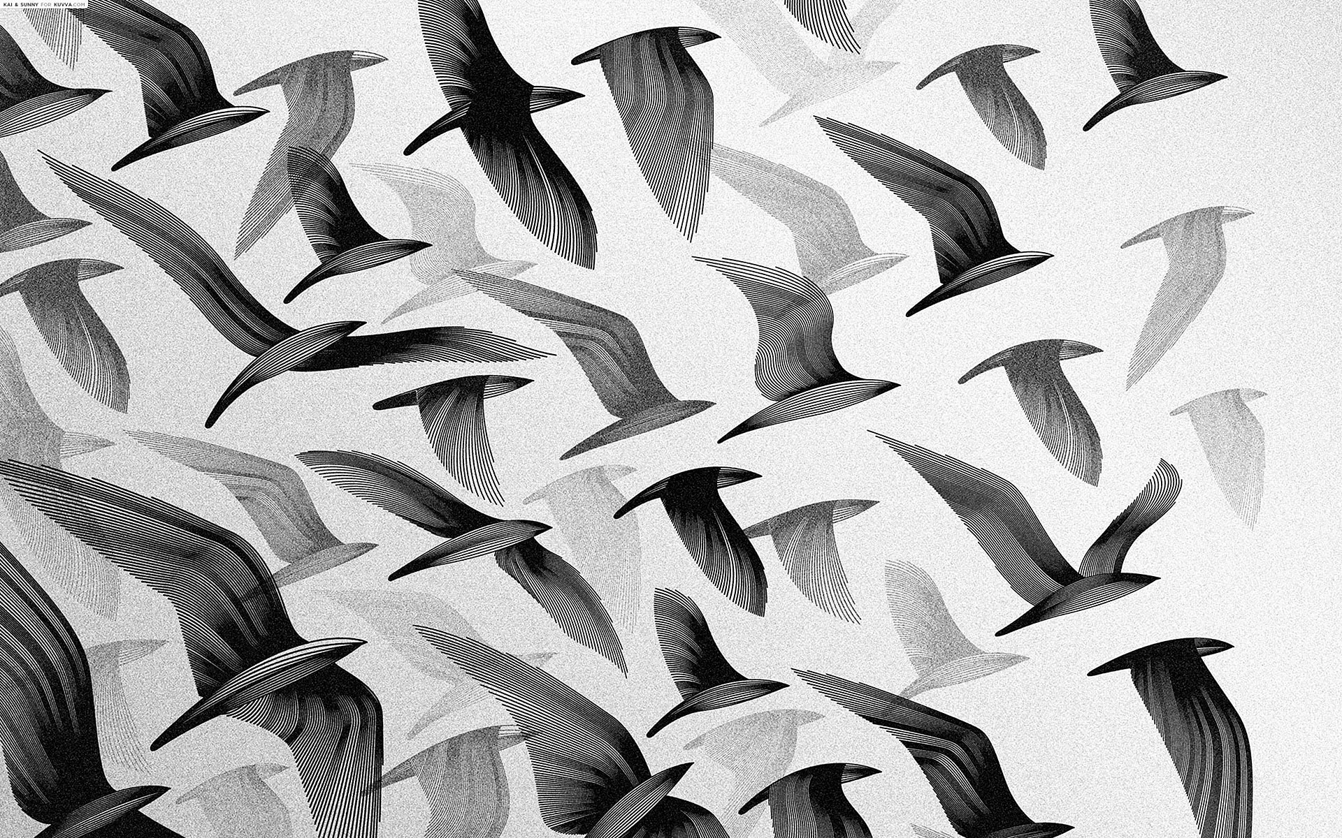 Bird Pattern Wallpaper