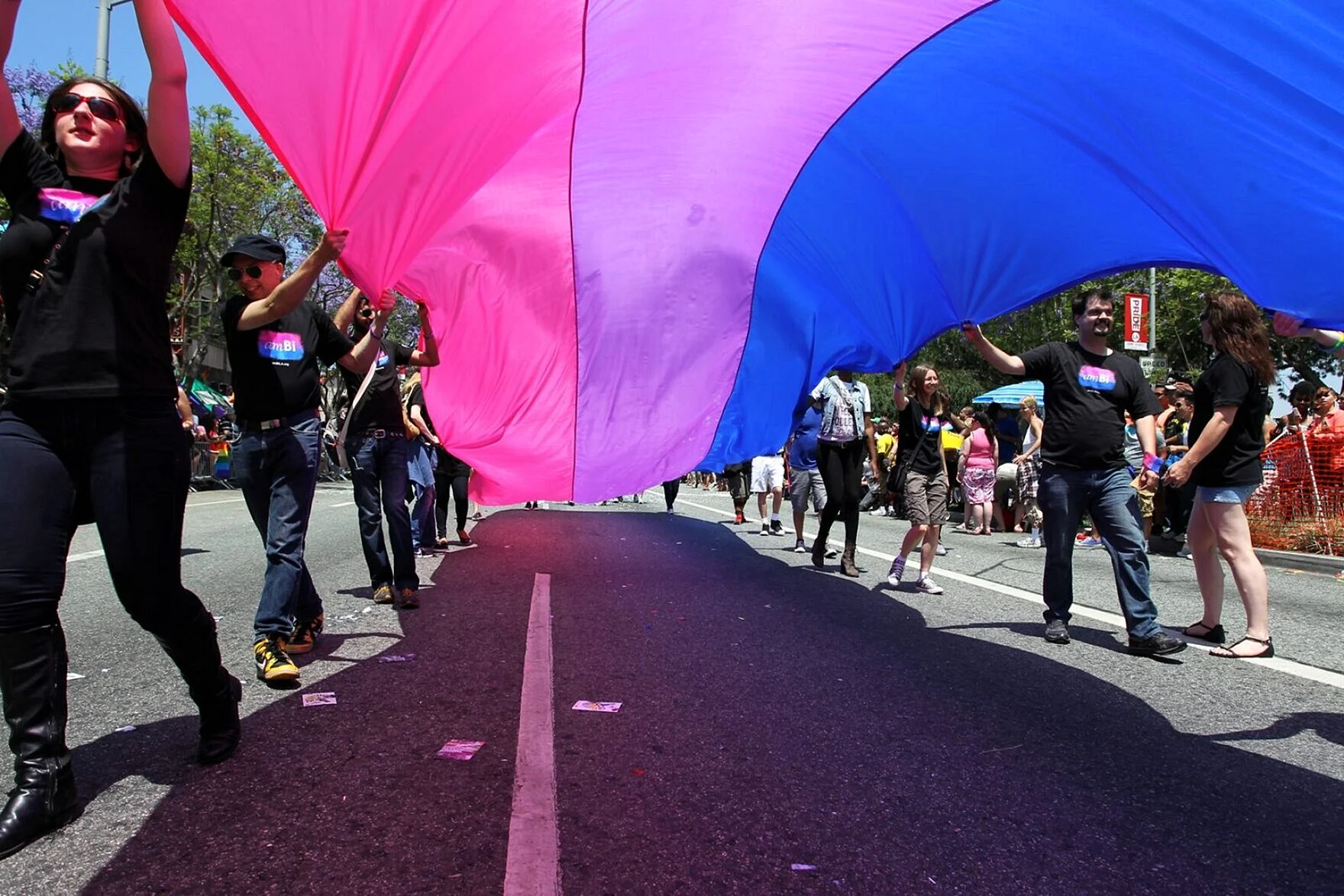 Bisexuality Parade Wallpaper