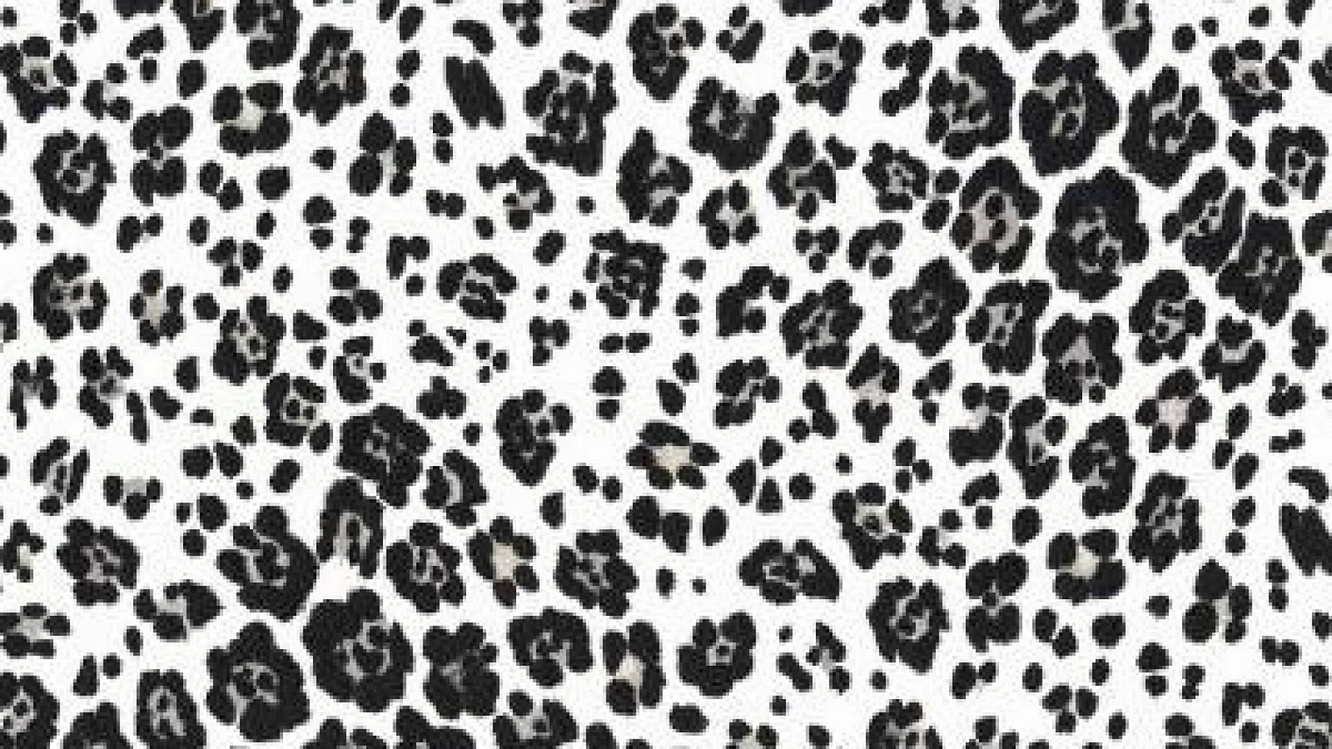 Black and White Leopard Print Wallpaper