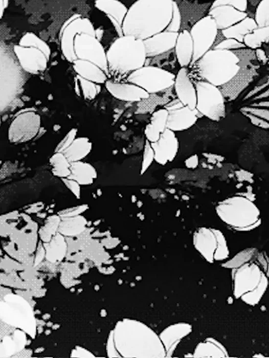 Black and White Sakura Wallpaper
