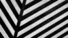 Black and White Stripes Wallpaper